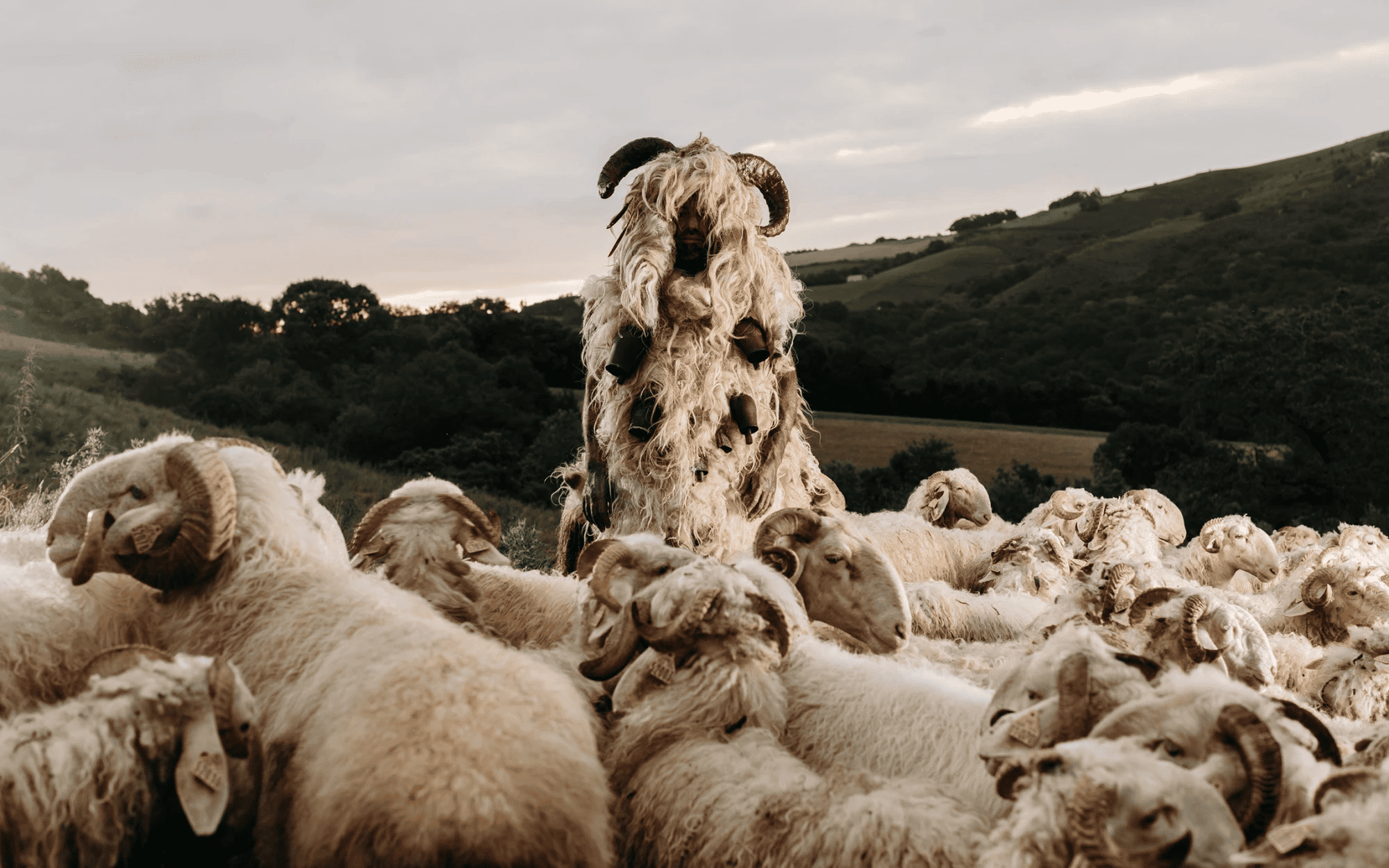 Illustration du projet Menta