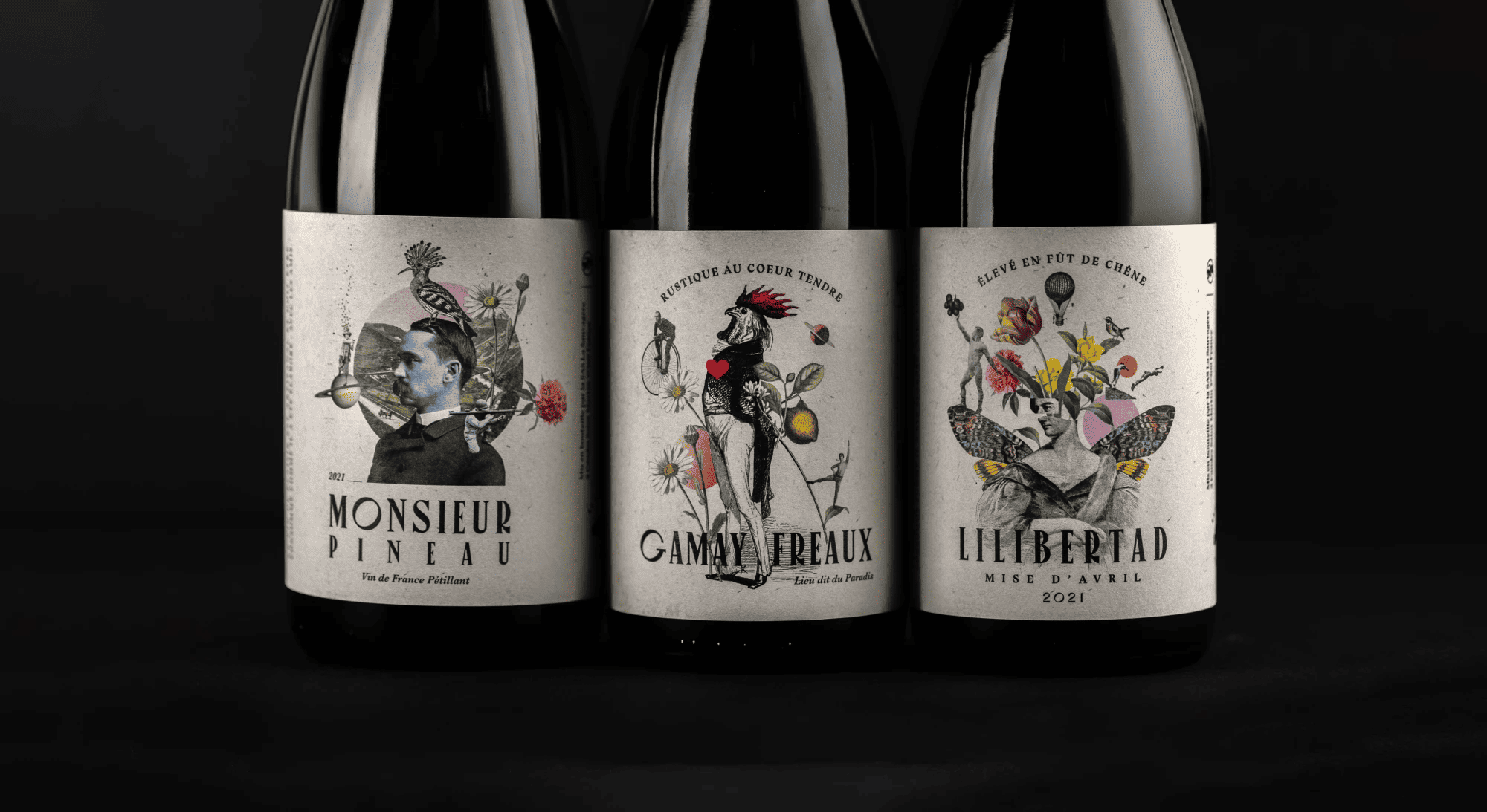 Illustration du projet La Sauvagère