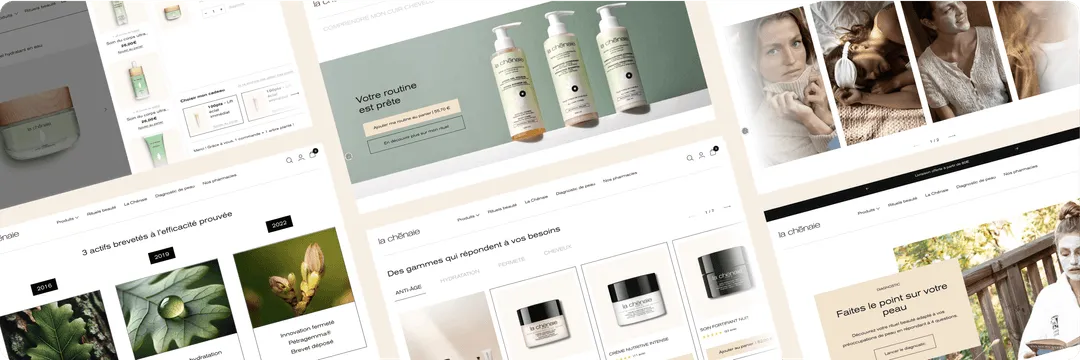 Illustration du projet E-commerce - Shopify - Diagnostic de peau sur Typeform
