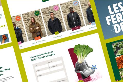 Illustration du projet