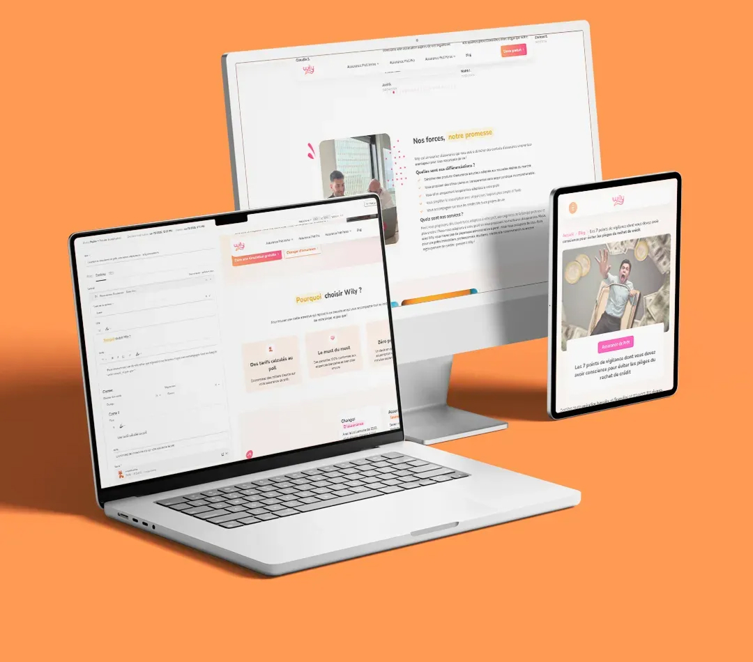 Illustration du projet Comment Wily a construit un site clair, rapide et 100% autonome grâce à PayloadCMS