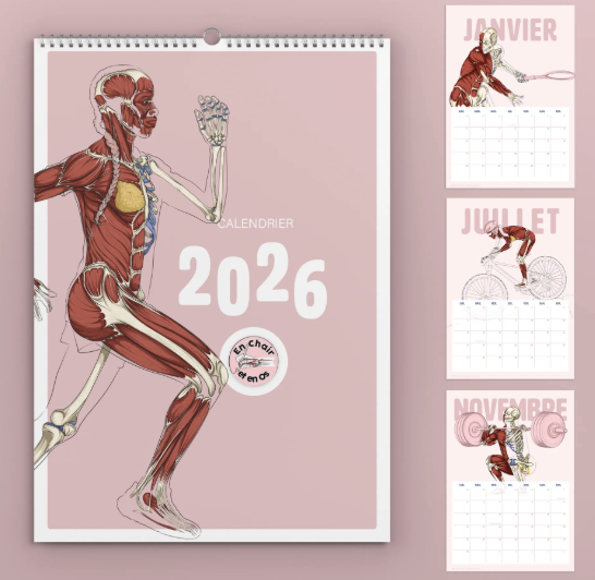 Illustration du projet En Chair et en Os a multiplié par 3 son trafic SEO avec Dokey