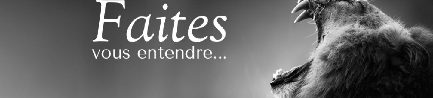 Couverture de l'agence mc-media.com - Agence Web & Communication