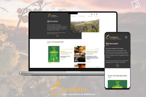 Illustration du projet