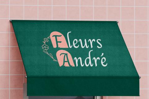 Illustration du projet