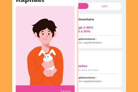 Illustration du projet