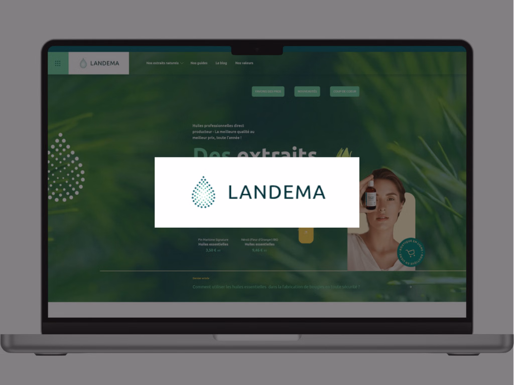 Illustration du projet