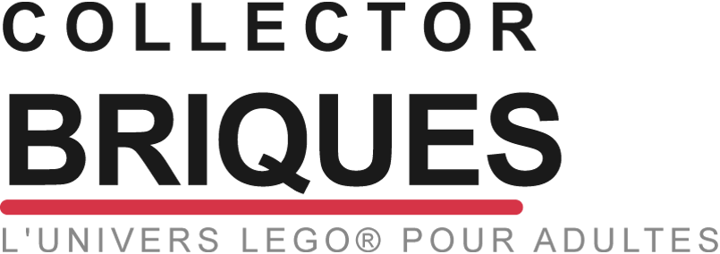 Illustration du projet Création du site média LEGO pour adultes Collector Briques
