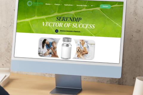 Illustration du projet