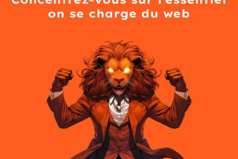 Illustration du projet