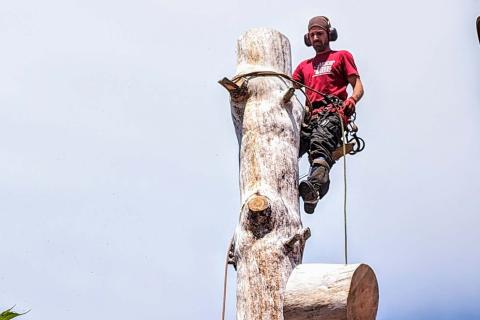 Illustration du projet