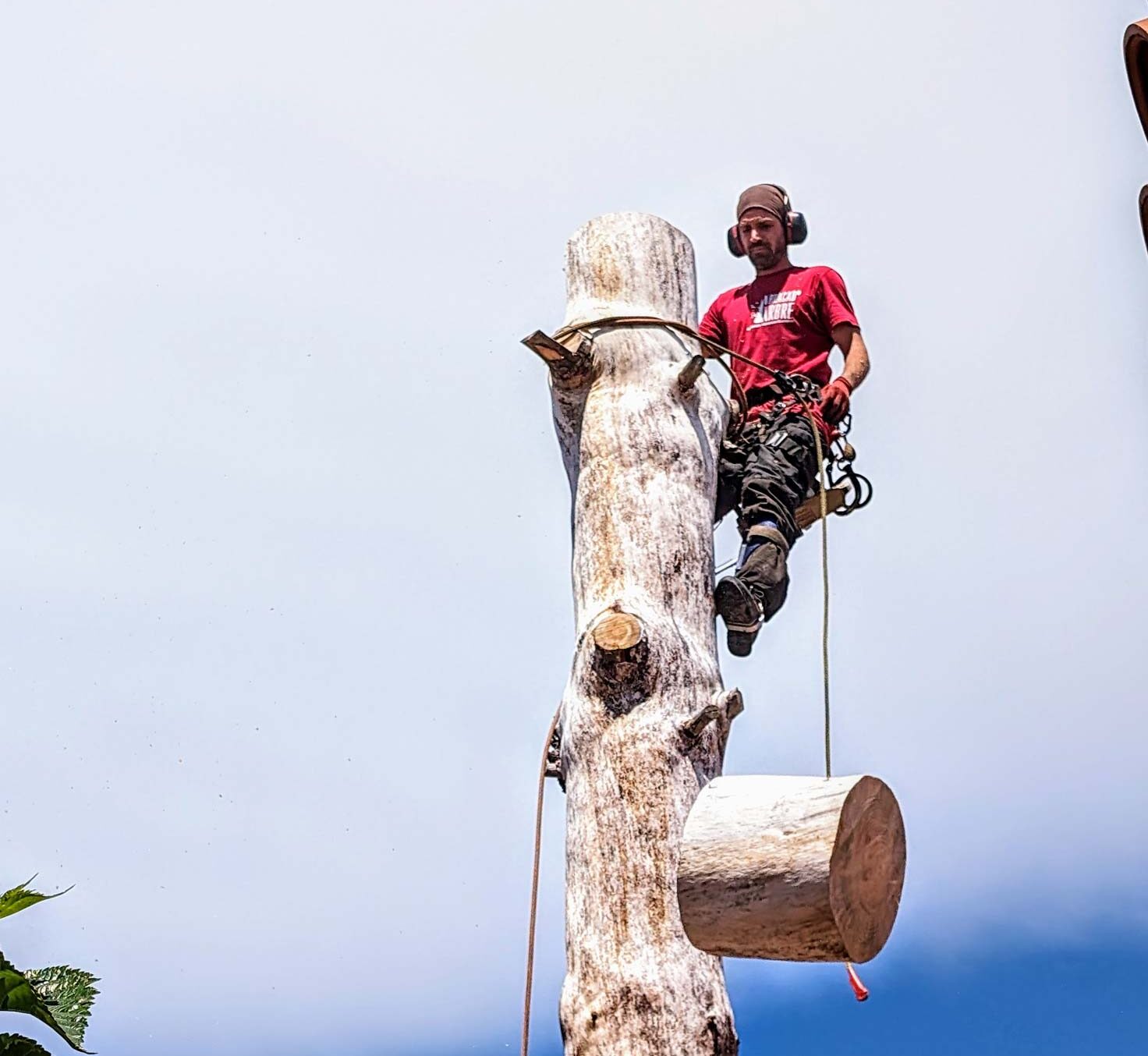 Illustration du projet Site internet + Campagne digitale pour FANNI ESPACE VERT