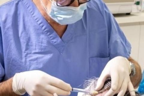 Illustration du projet