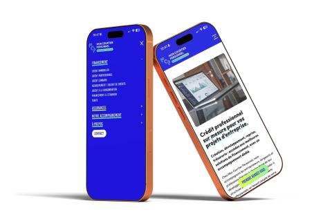 Illustration du projet