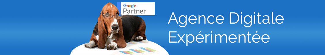 Couverture de l'agence FGP Solutions, agence web en Alsace