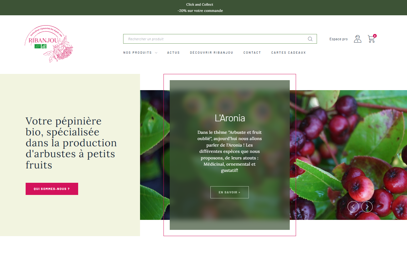 Illustration du projet Site e-commerce pour la pépinière Ribanjou