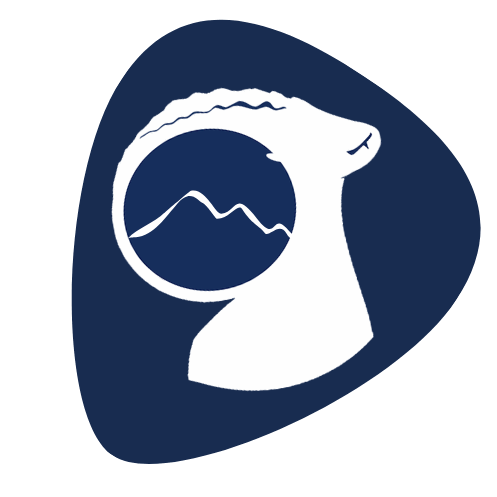 Logo agence Agence SEO des Alpes