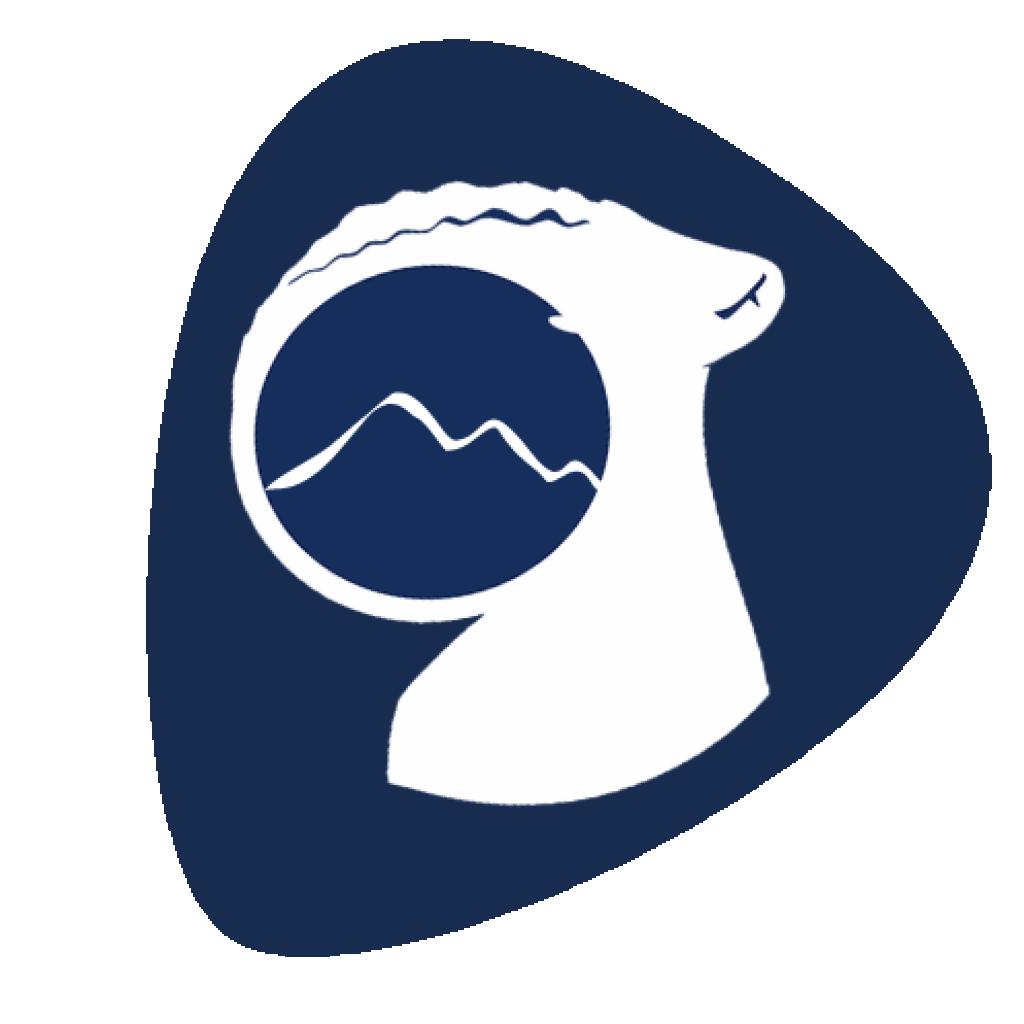 Logo agence Agence SEO des Alpes