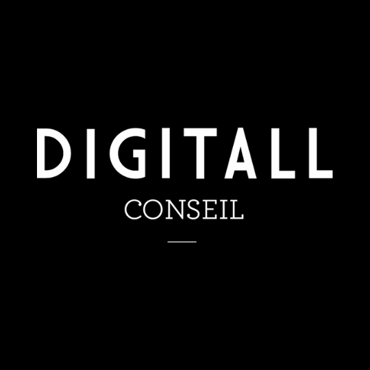 Logo agence DIGITALL CONSEIL