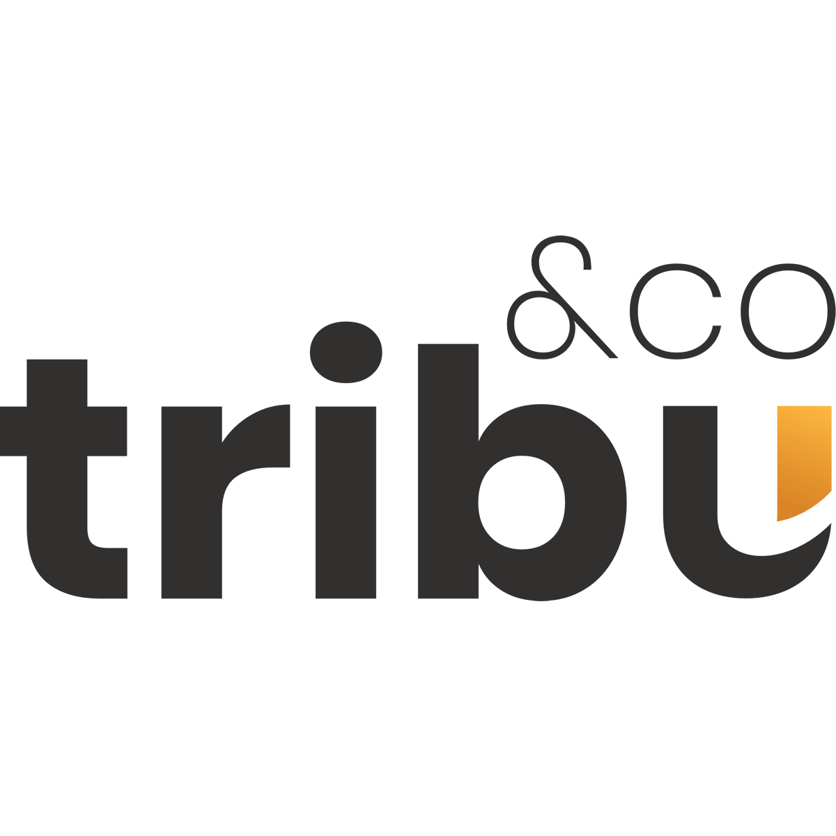 Logo agence Tribu And Co