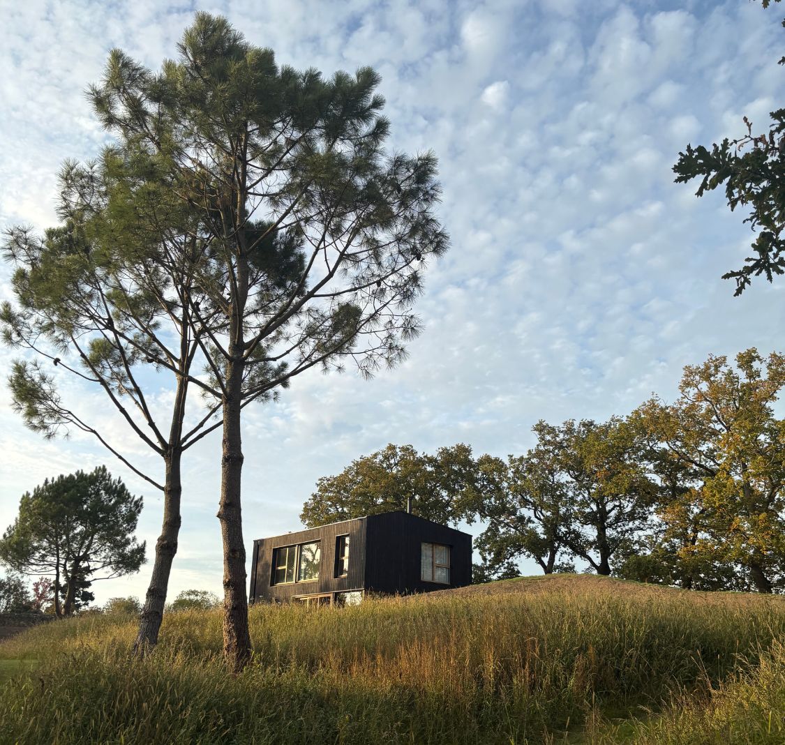 Illustration du projet Site web immersif pour Les Lodges du Mezo