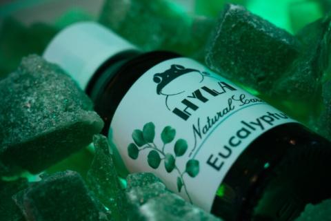 Illustration du projet