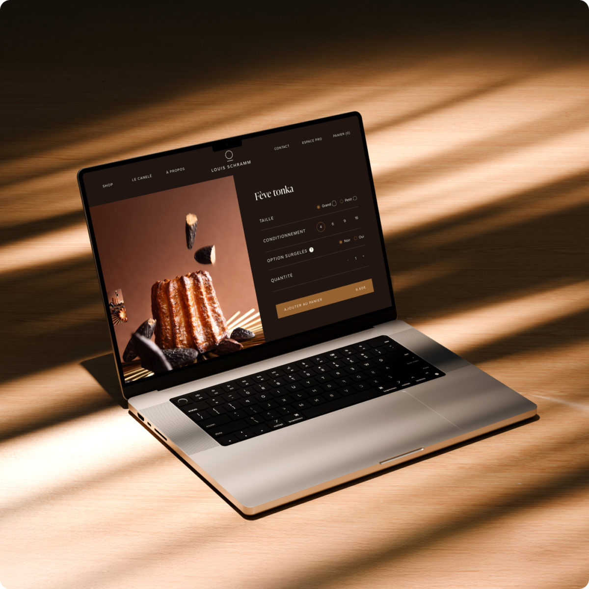 Illustration du projet Louis Schramm