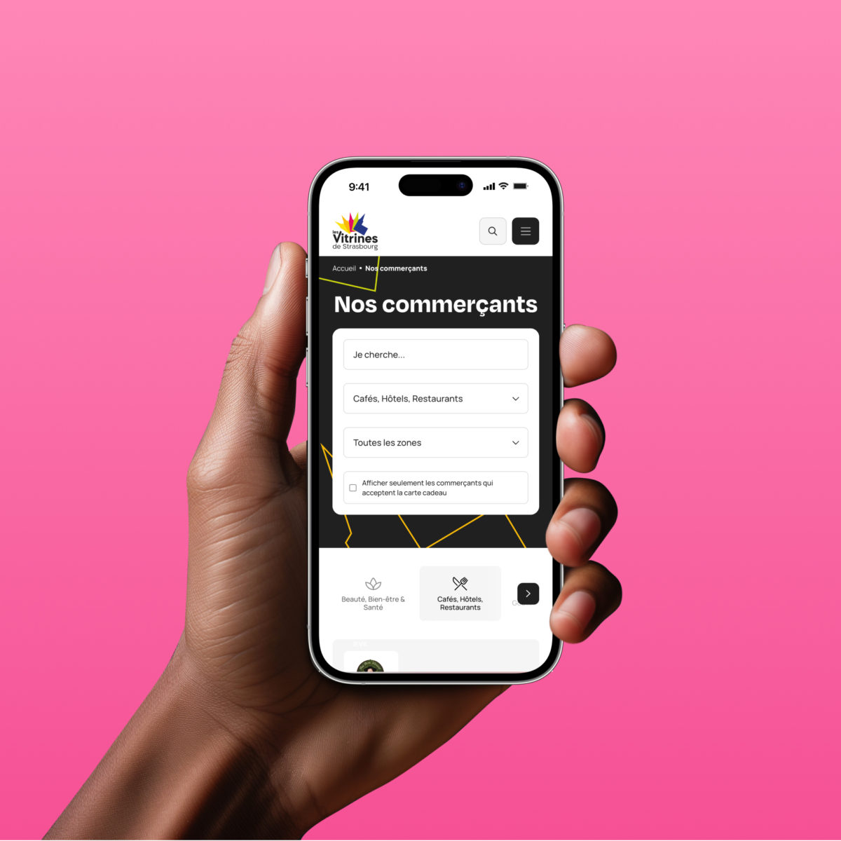 Illustration du projet Les Vitrines de Strasbourg