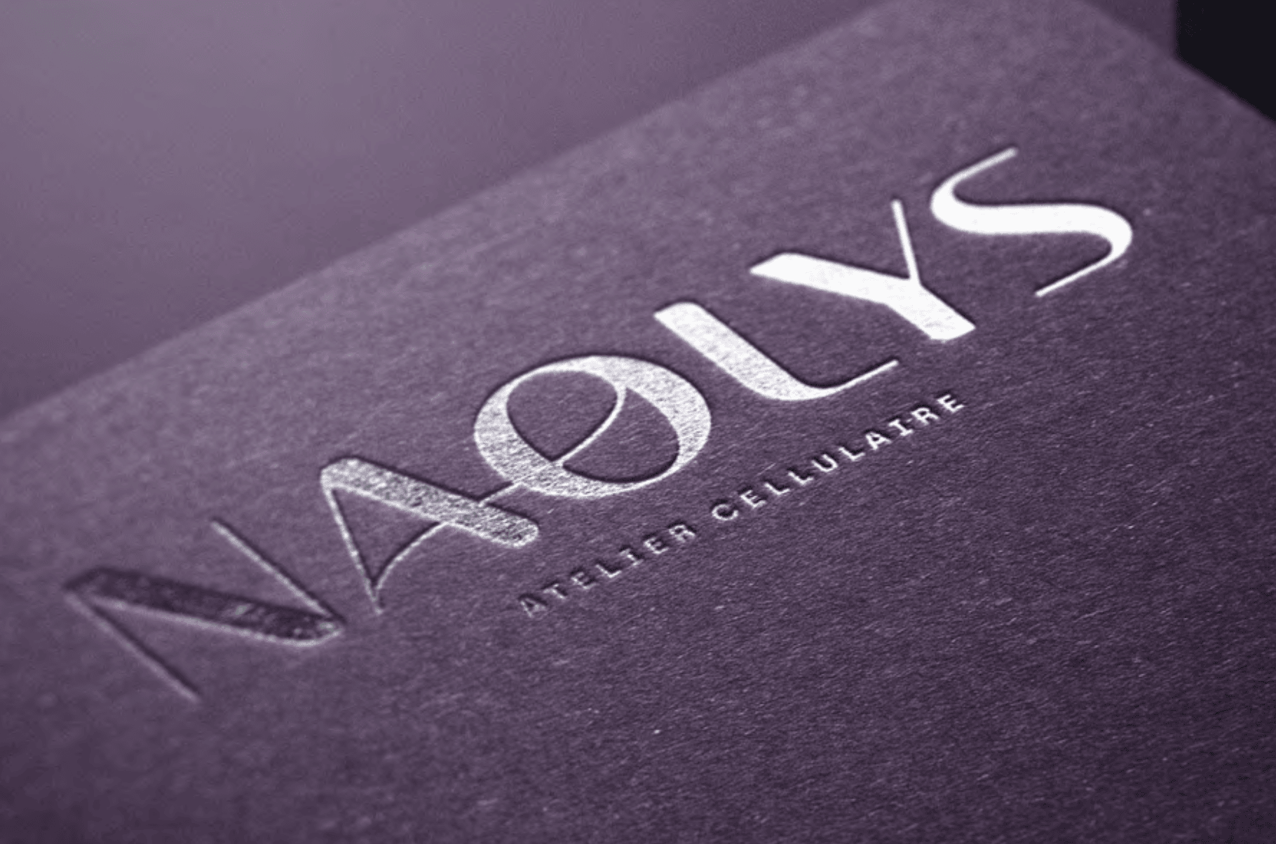 Illustration du projet Rebranding complet