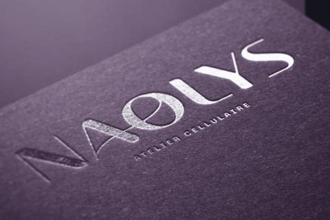 Illustration du projet