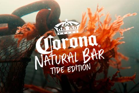 Illustration du projet