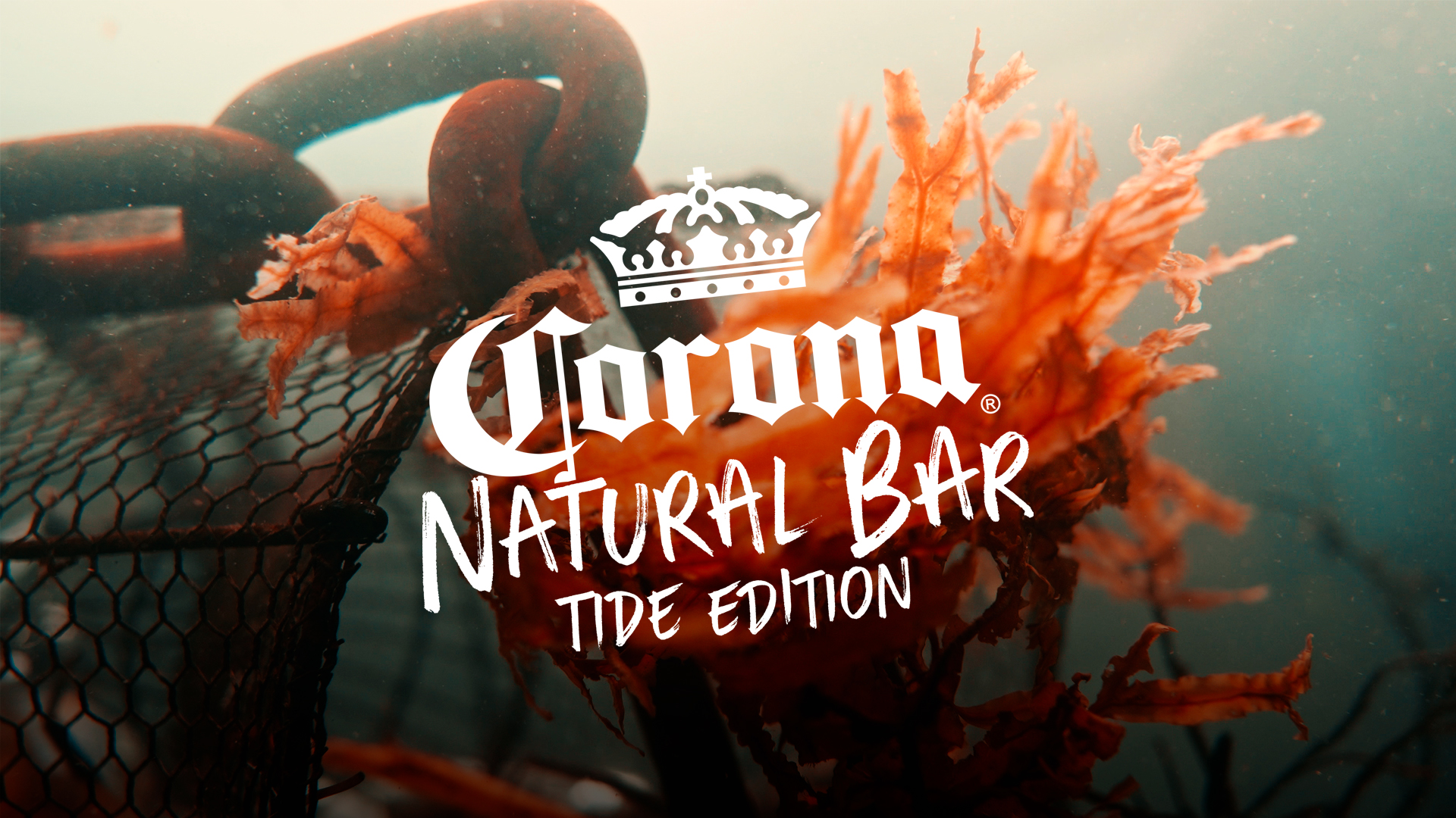Illustration du projet CORONA NATURAL BAR / TIDE EDITION