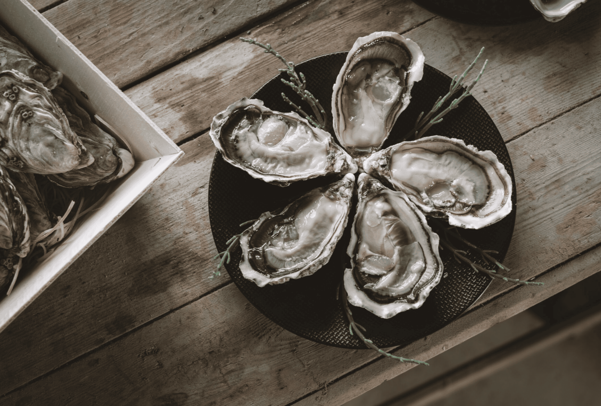 Illustration du projet Huîtres Poget