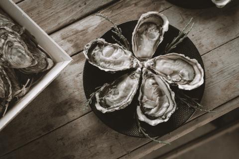 Illustration du projet