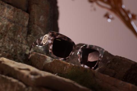 Illustration du projet