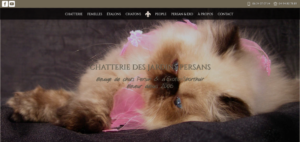 Illustration du projet Suivi, entretien et maintenance du site web de la Chatterie Des Jardins Persans