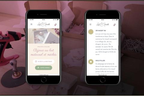 Illustration du projet