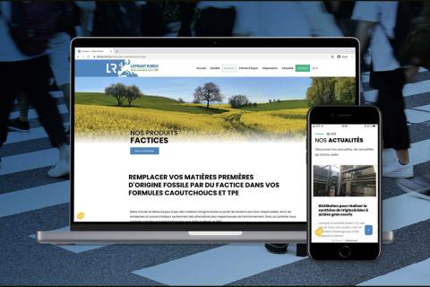 Illustration du projet