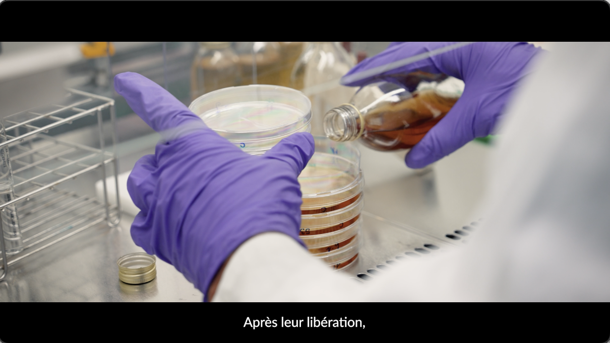 Illustration du projet Film corporate - La petite production