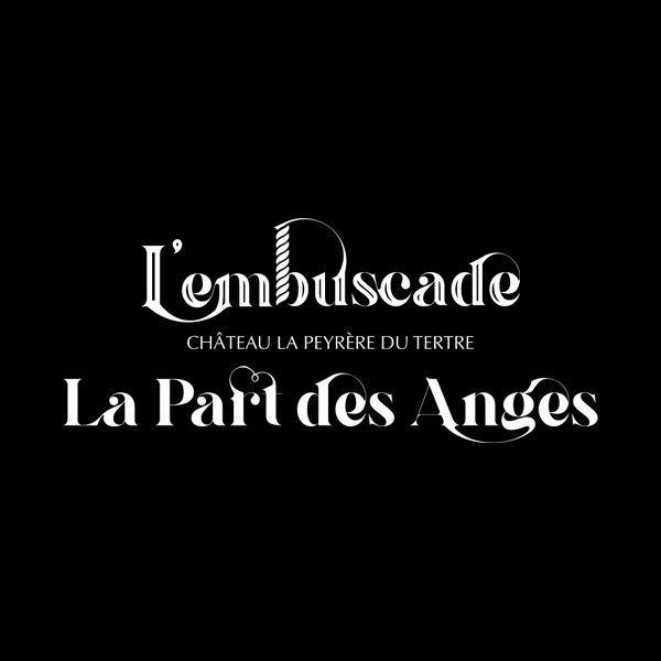 Illustration du projet Château La Peyrère du Tertre