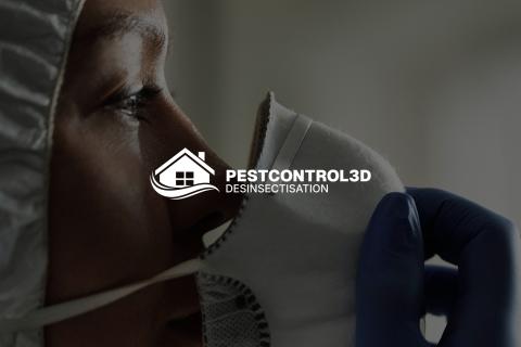 Illustration du projet PestControl3D – Un site structuré pour générer plus de leads locaux