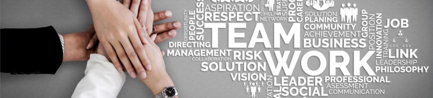 Couverture de l'agence Pyramids Digital