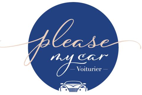 Illustration du projet PleaseMyCar Voiturier