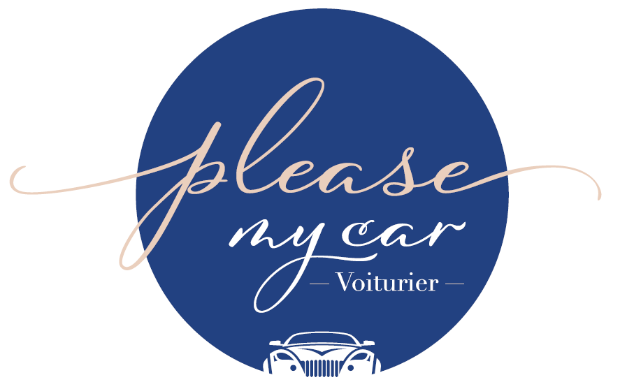 Illustration du projet PleaseMyCar Voiturier