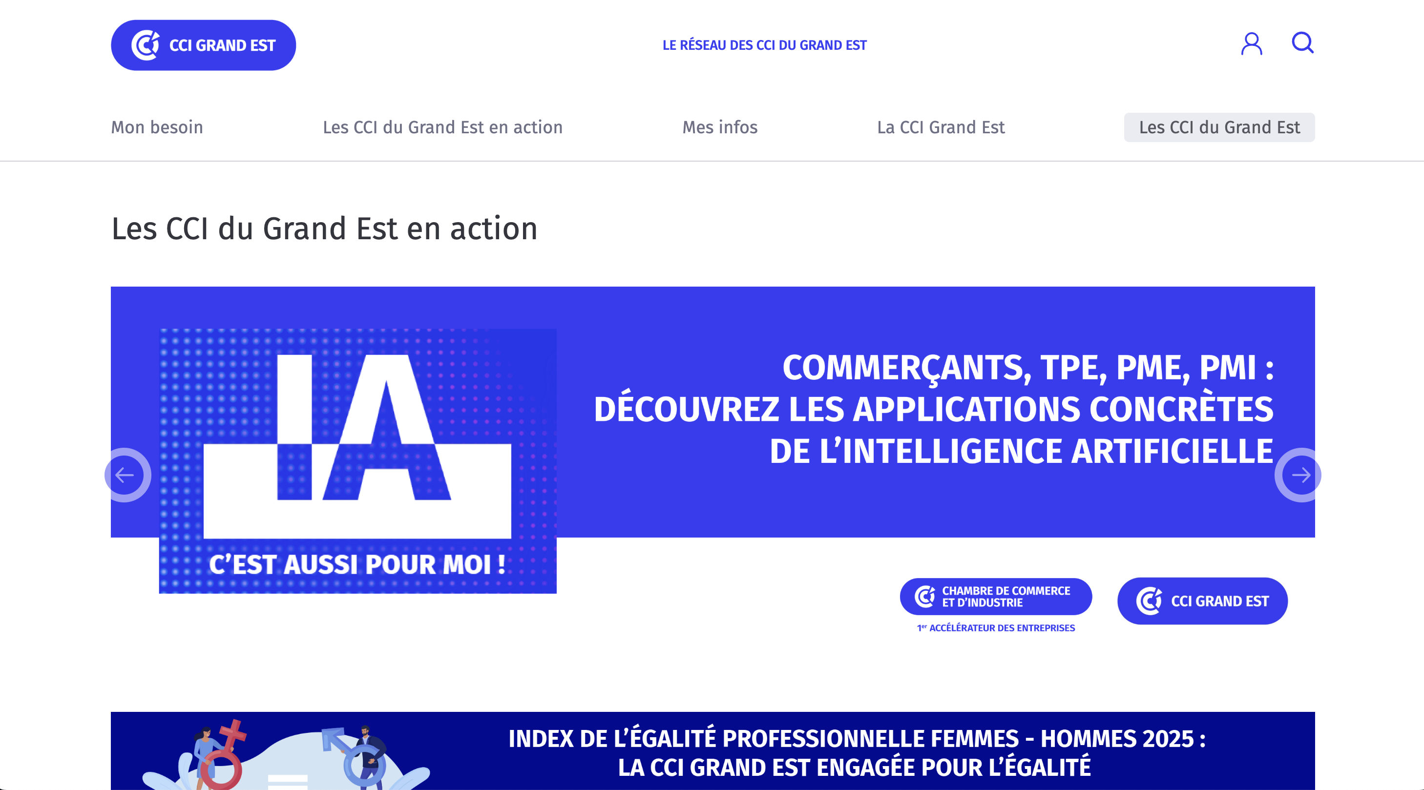 Illustration du projet CCI Grand Est : Mutualiser et rationaliser l’ensemble de l'écosystème Internet à l'aide d'une usine à sites