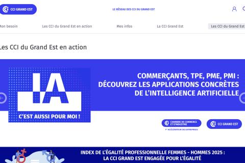 Illustration du projet CCI Grand Est : Mutualiser et rationaliser l’ensemble de l'écosystème Internet à l'aide d'une usine à sites