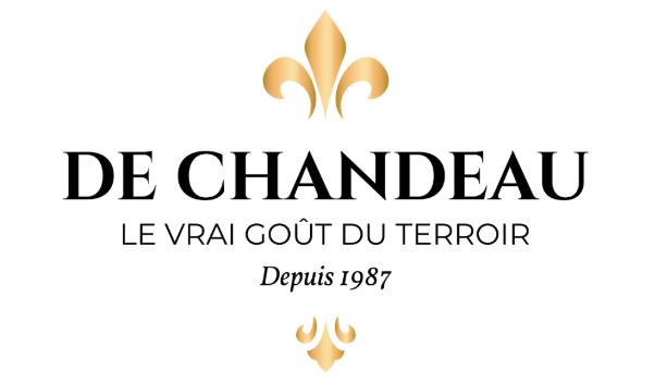 Illustration du projet SEO et conseil