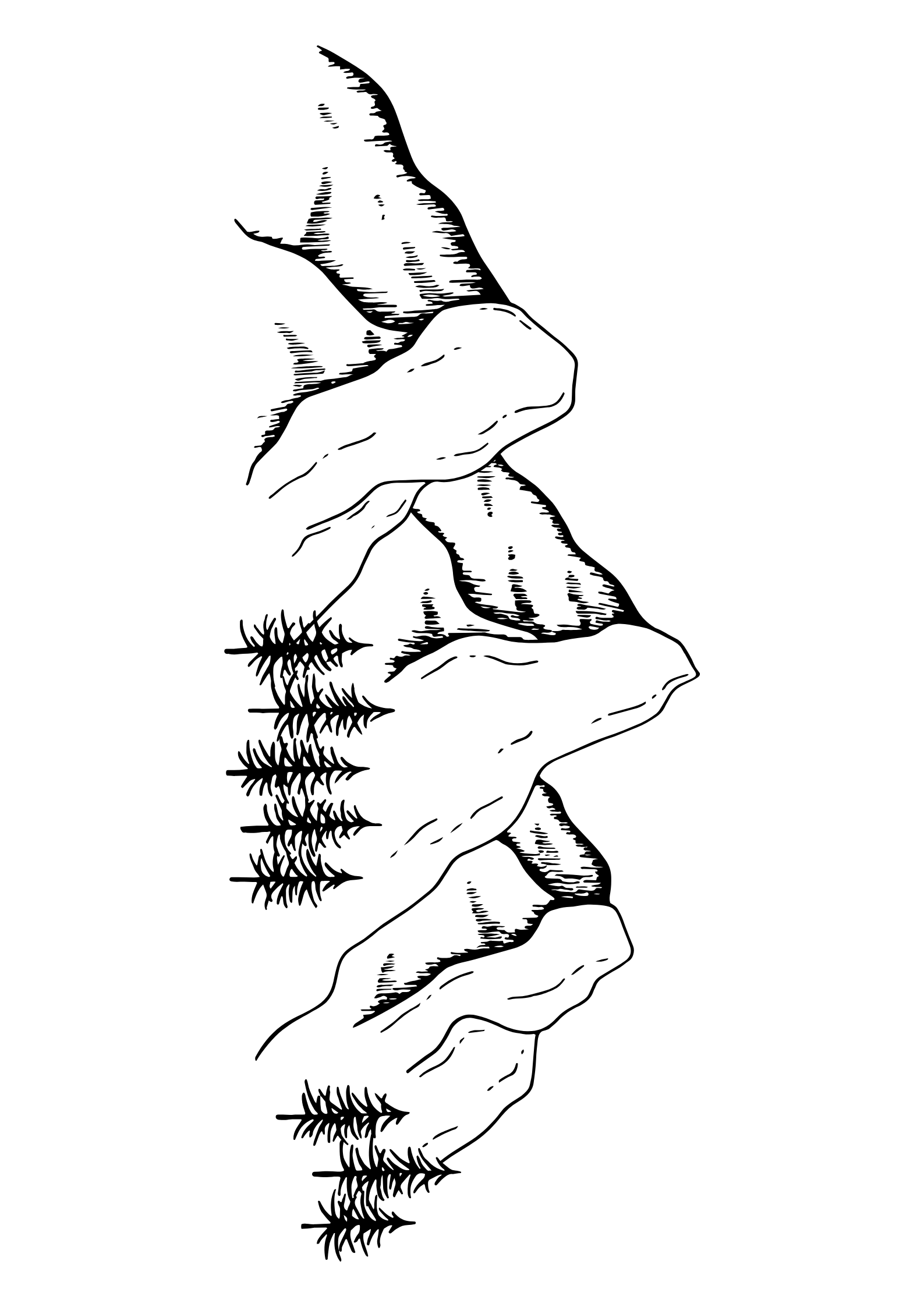 Photo de SASU Ludime