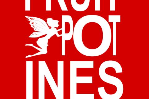 Illustration du projet Création d’un site web e-commerce pour Les fruitpotines