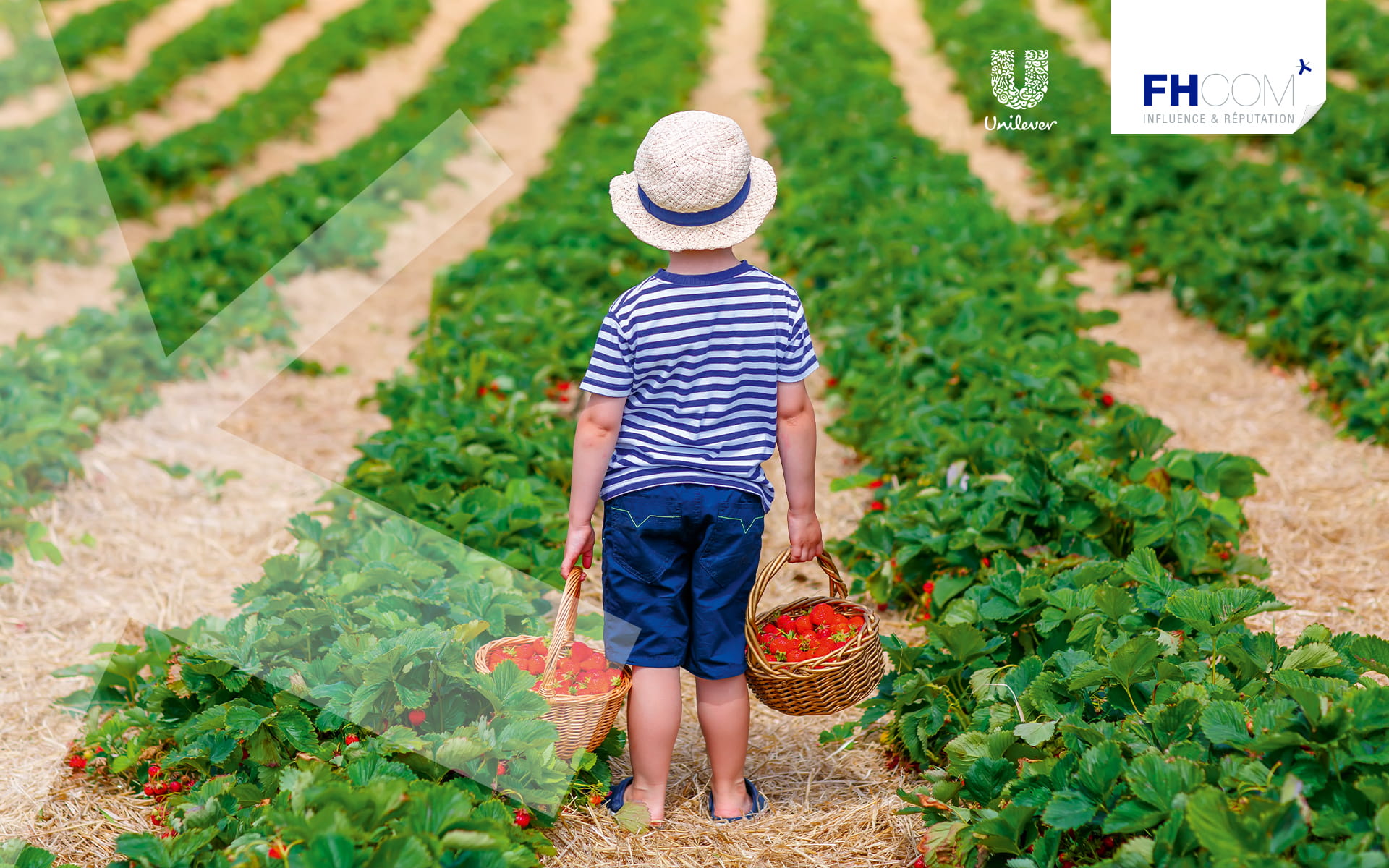 Illustration du projet UNILEVER FRANCE